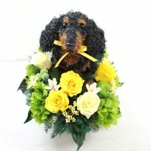 フラワーアレンジ&ダックスちゃん ダックス好きプレゼントにダックスのかわいいプリザーブドフラワー