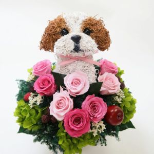 シーズー　犬花