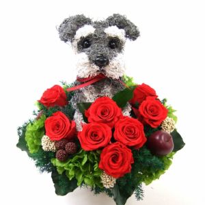 シュナウザー好きにシュナウザーグッズプレゼント高級なプリザーブド