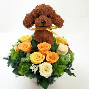 プードル　犬花