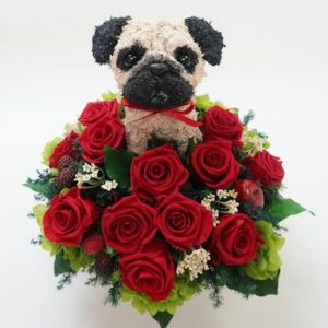 パグ犬　犬花
