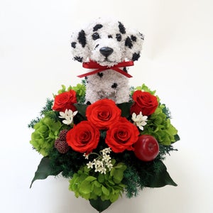 ダルメシアン　犬花
