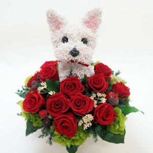 ホワイトテリア　犬花