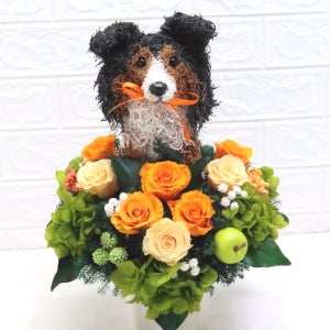 シェットランドシープドッグ　犬花