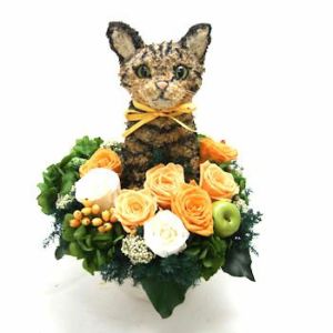 キジトラ猫　猫花