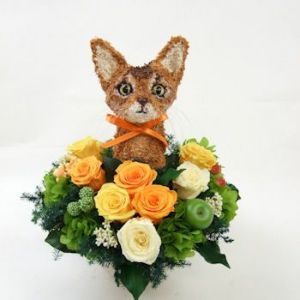 アビシニアン　猫花