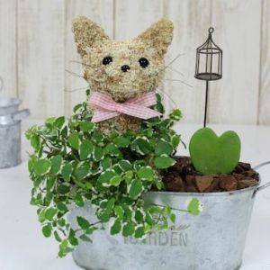 猫のトピアリー　猫花