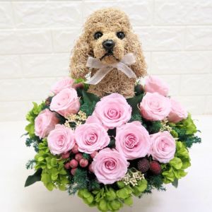 アメリカンコッカースパニエルのプリザーブドフラワーアレンジCute