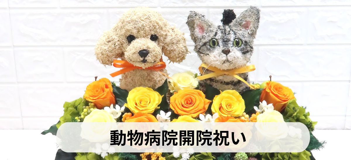 動物病院開院祝い,動物病院開業祝い,犬花 猫花