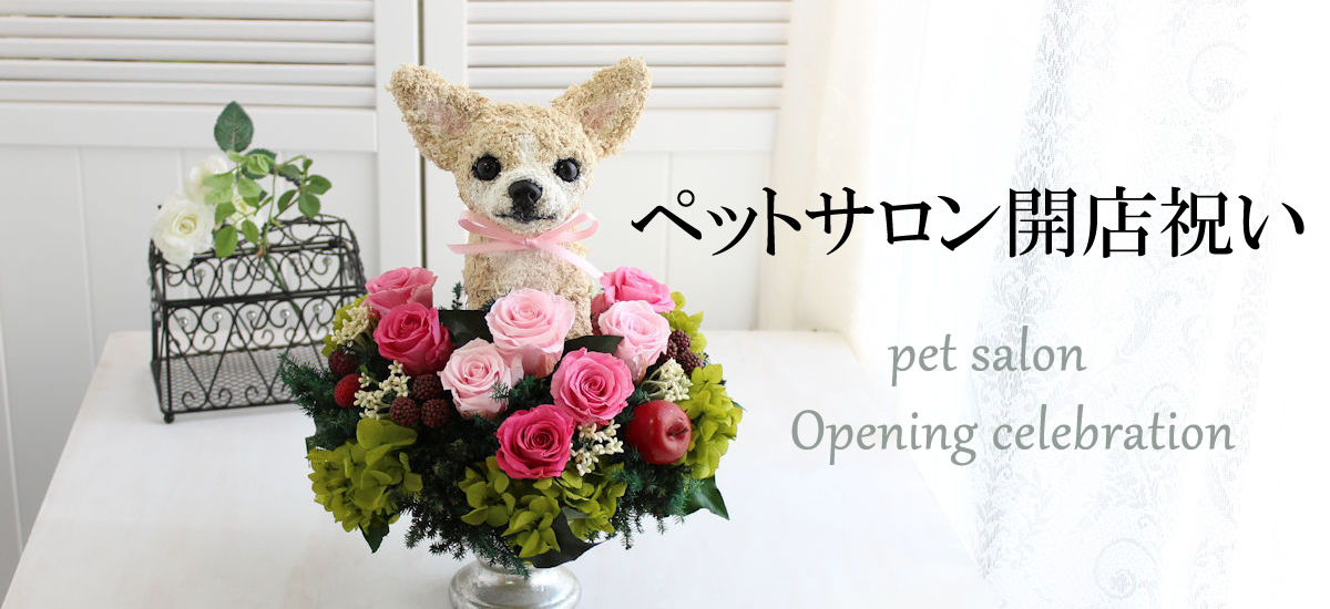 c-petsalon-00.jpg