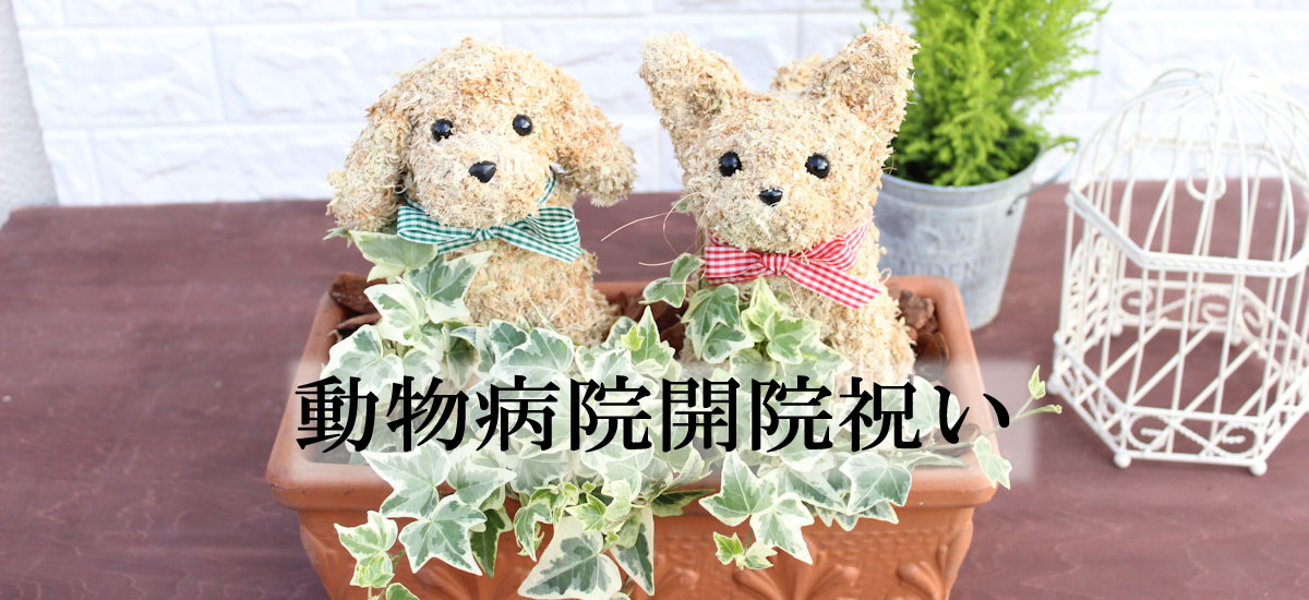 動物病院 開院祝い　動物病院開業祝い花