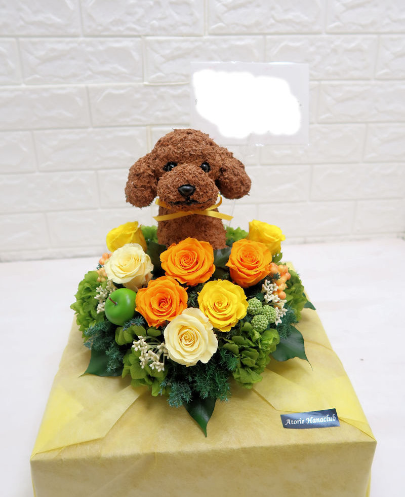 メッセージとラッピング