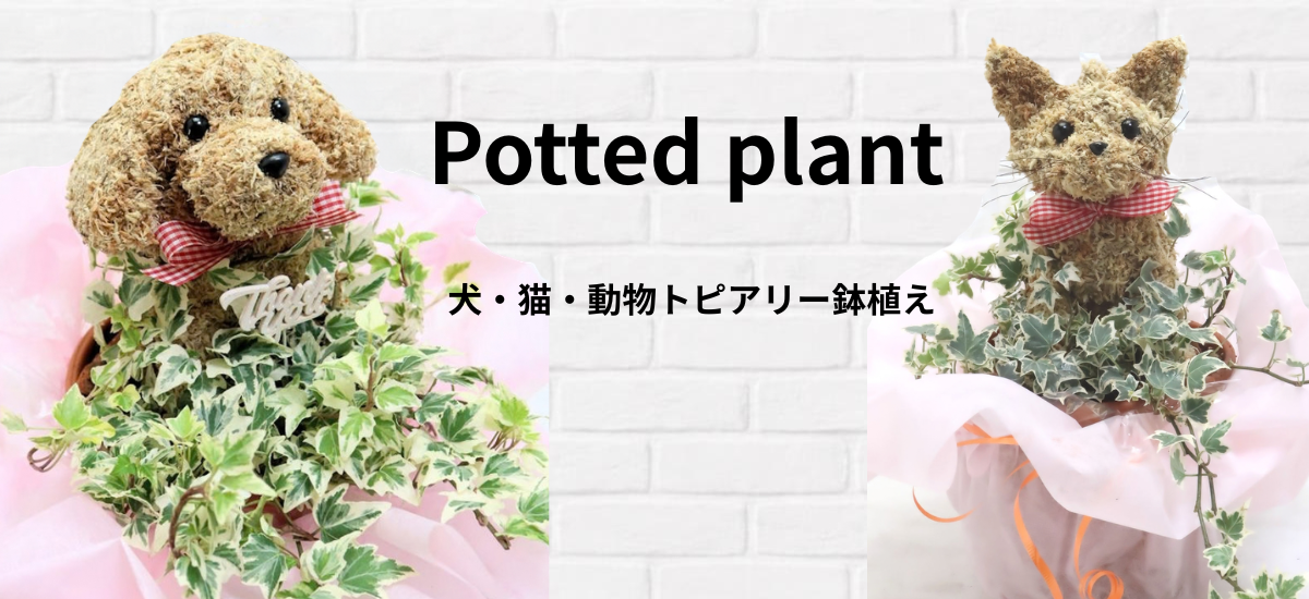犬猫動物トピアリー鉢植え
