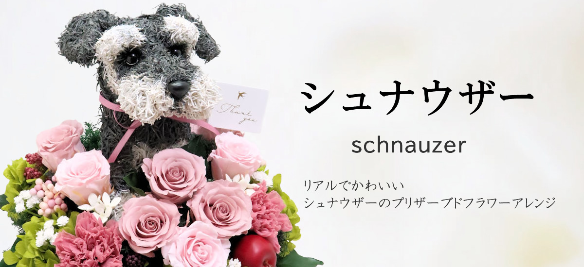 シュナウザーグッズプレゼント 犬花
