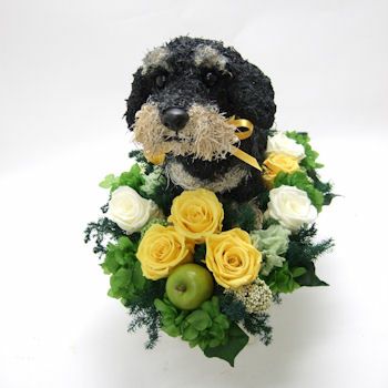 犬好きプレゼント ワイヤーダックスの犬花アレンジ｜アトリエ花倶楽部