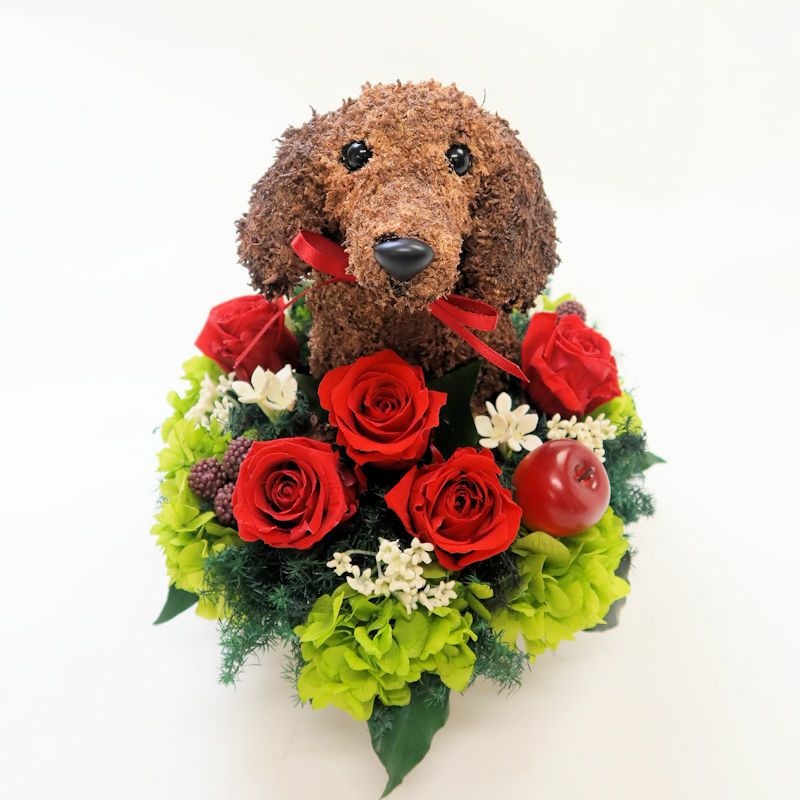 ダックス好きの人へプレゼントに喜ばれるダックスのプリザーブド