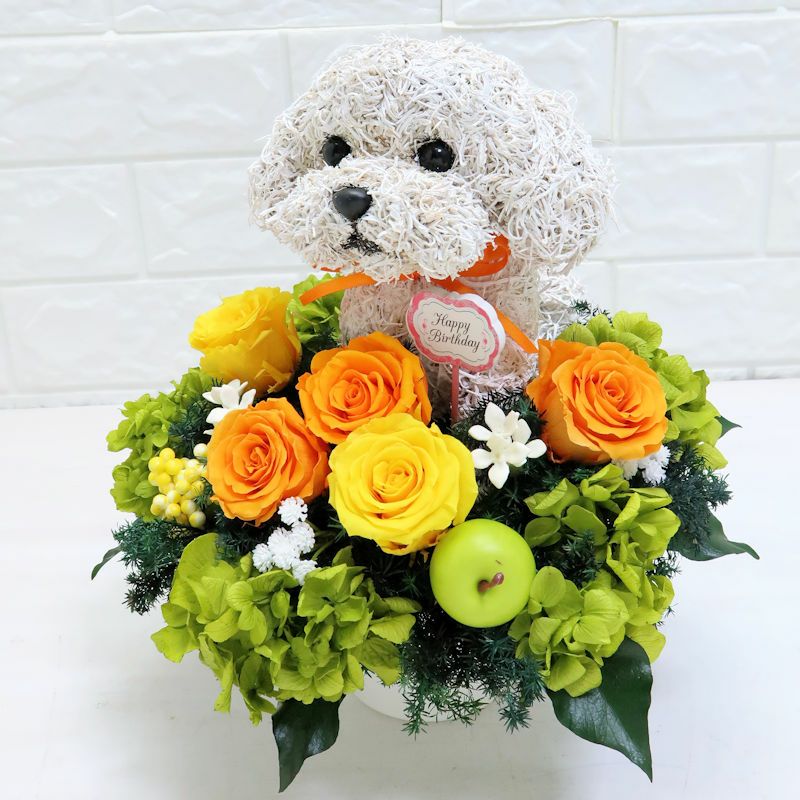 犬好きプレゼント　マルチーズ