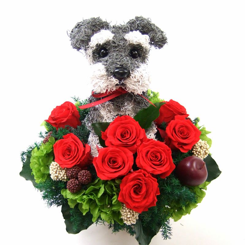 シュナウザー好きにシュナウザーグッズプレゼント高級なプリザーブド