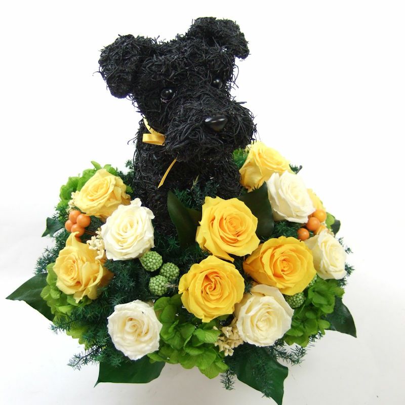 プリザーブドフラワー　犬