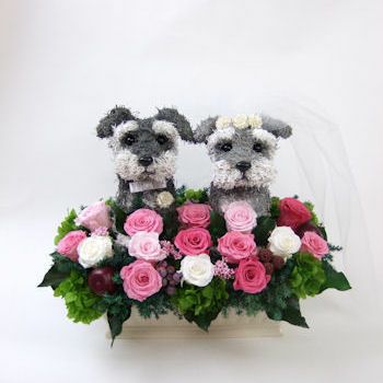 ウェルカムドール犬 シュナウザーのウェルカムドッグ｜アトリエ花倶楽部