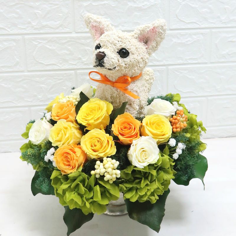 チワワグッズプレゼント