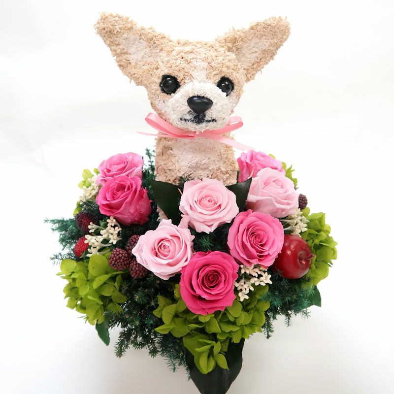 ペットサロン開店祝いにチワワのトピアリープリザーブドフラワー