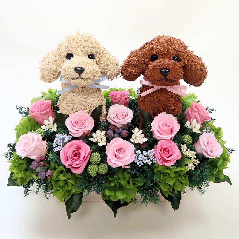 ウェルカムドッグ トイプードル プリザーブドフラワーアレンジ