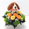 ビーグル犬プリザーブドフラワーアレンジ