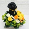 犬好き　黒パグ