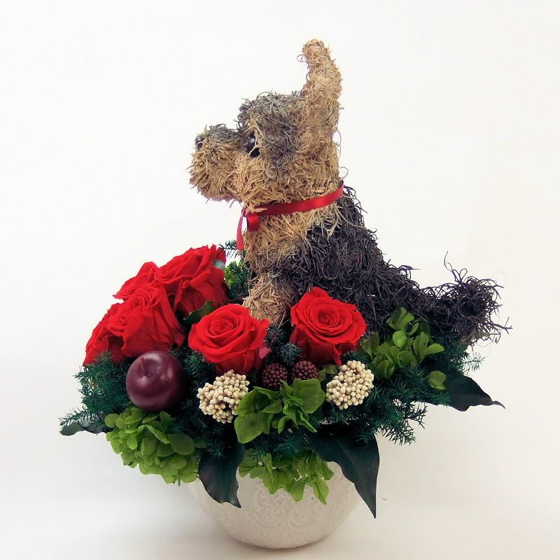 犬花アレンジ