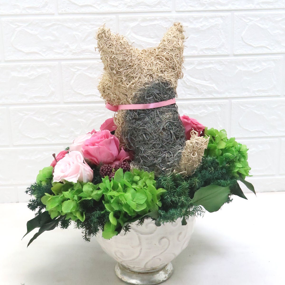 犬花