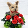 ヨークシャーテリア　花