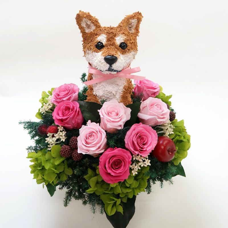 犬花アレンジ 柴犬のトピアリープリザーブドフラワーアレンジ