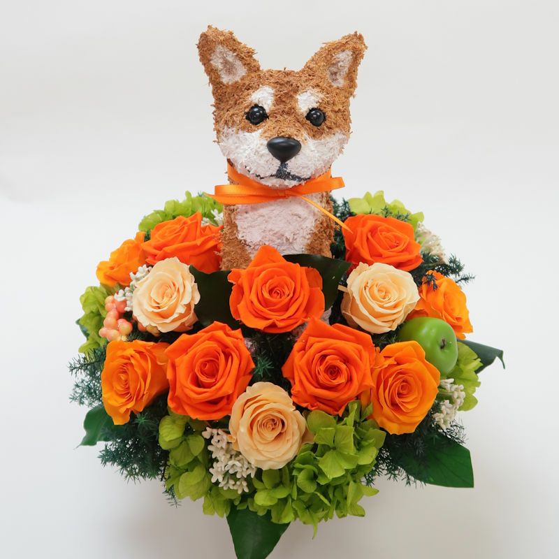 犬好きプレゼント感動する柴犬のプリザーブドフラワーアレンジ