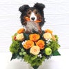 シェットランドシープドッグ　花