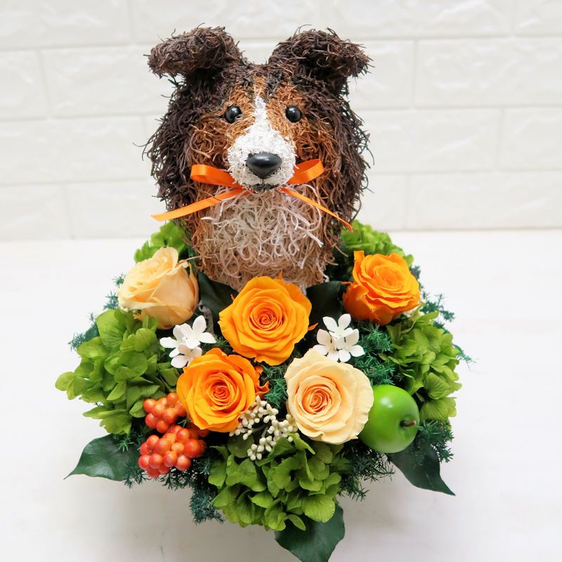 シェットランドシープドッグ