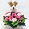 ワイヤーフォックステリア 花