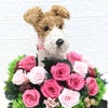 アニマルフラワー犬