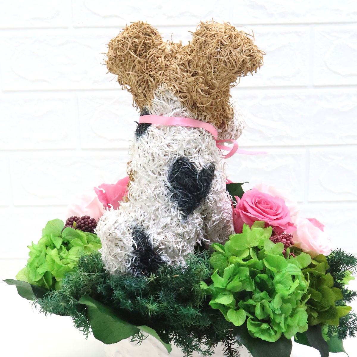 犬花