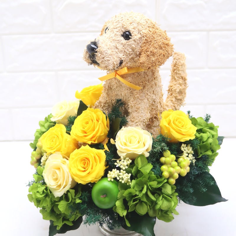 犬花