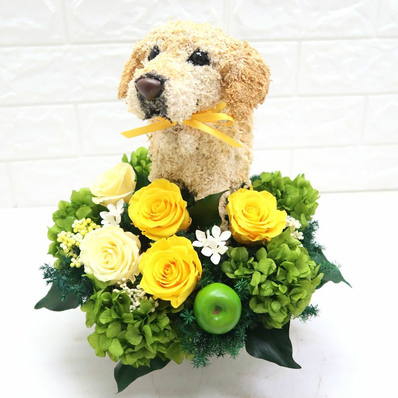 アニマルフラワー