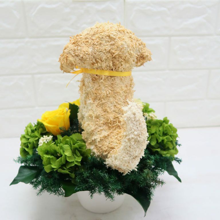 ラブラドールレトリバー