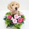 プリザーブドフラワー犬