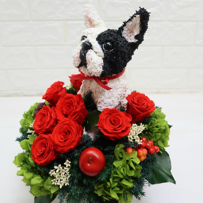 アニマルフラワー　犬