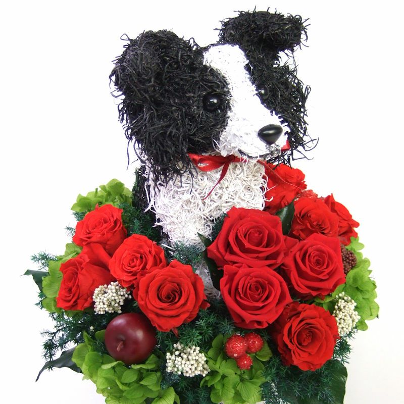 ボーダーコリーグッズプレゼント　高級