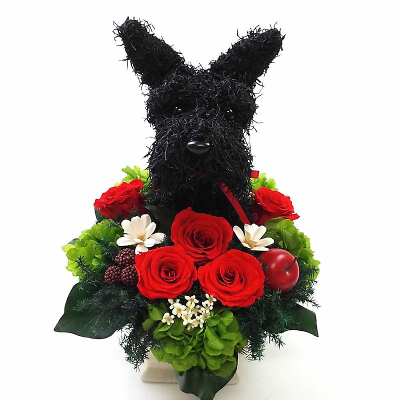 スコティッシュテリア