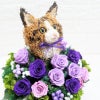 メインクーン　プリザーブドフラワーアレンジ