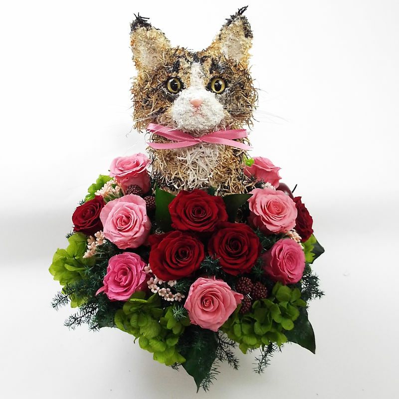 おしゃれな猫花-ノルウェージャンフォレストキャットのプリザーブド