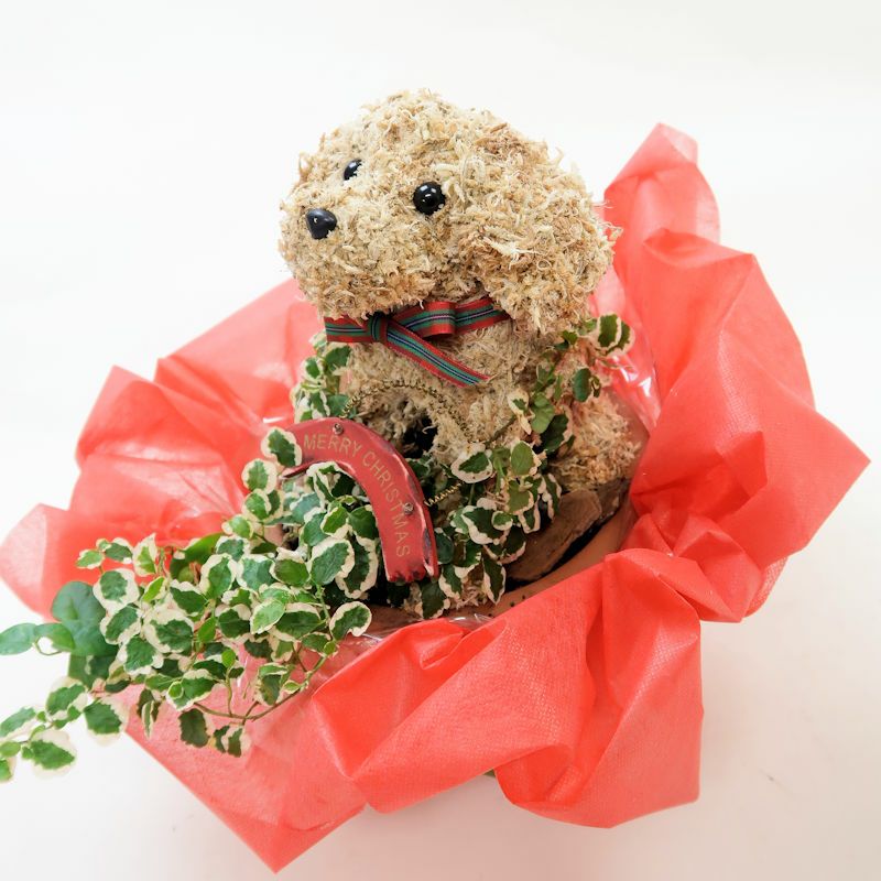 犬好きクリスマスプレゼント