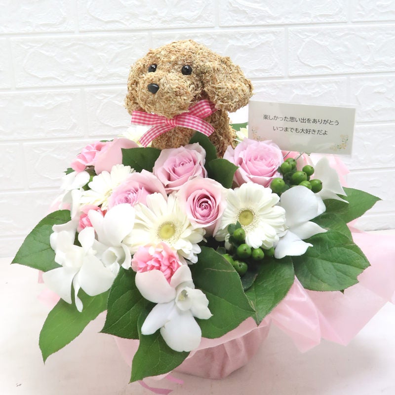 ペットの一周忌 お供え